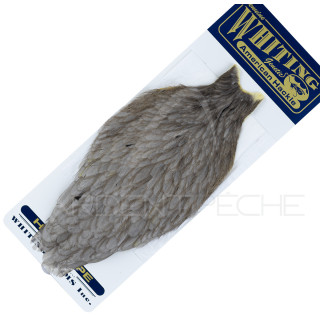 Cou de poule American Hackle gris souris