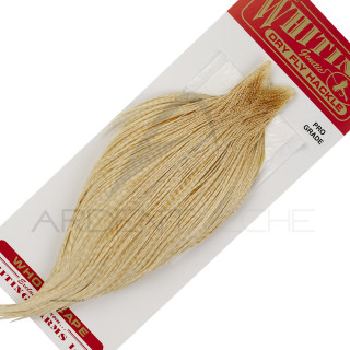 Cous de coq WHITING Pro grade Barred Medium Ginger