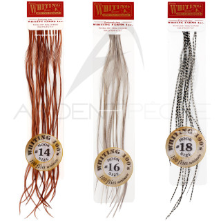 Plumes de Saddle WHITING 100