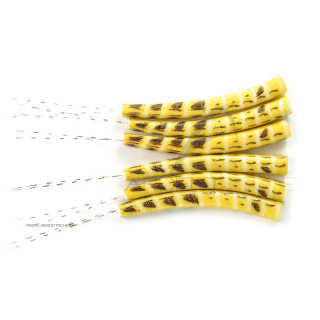 Corps mouche de mai ephemera danica