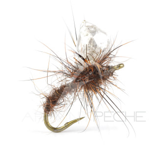 Sub-merger SBN Alan Campbell