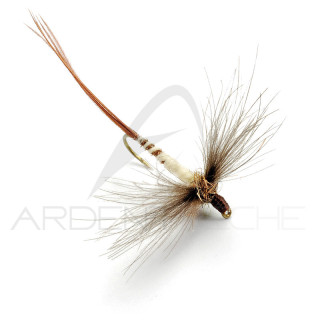 Mouche AB FLY Mai spents IM MAI