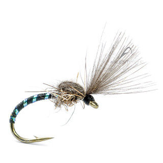 Mouche AB FLY Chironome SHUT F NO C