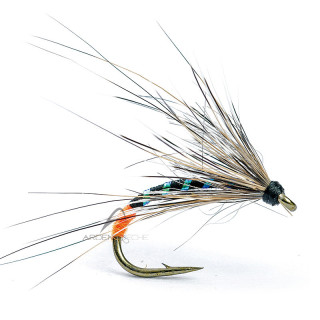 Mouche AB FLY Chironome NY CHIRO NO TO