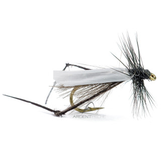 Mouche AB FLY Diptères bibio