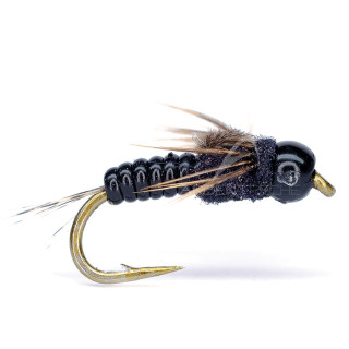 Mouche AB FLY nymphe CN TG V N