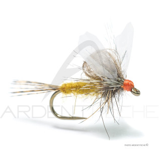 Mouche Florian Stéphan EML