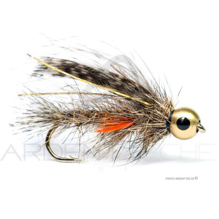 Mouche Florian Stéphan Veron paonne