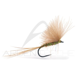 Mouche Igor et Nadica Stancev CDC Dun Brown