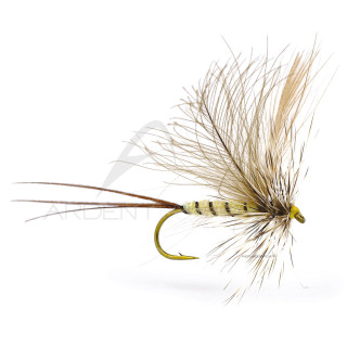 Mouche Igor et Nadica Stancev CDC hackle mayfly