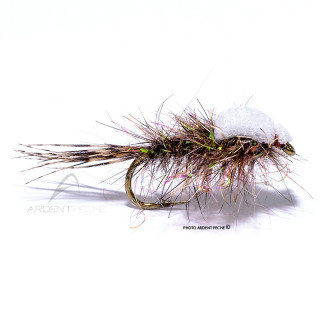 Mouche Igor et Nadica Stancev Oreille de lièvre