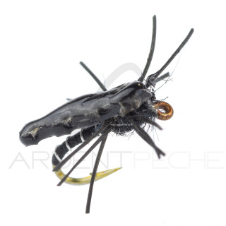 Nymphe Alan Campbell SBN 050