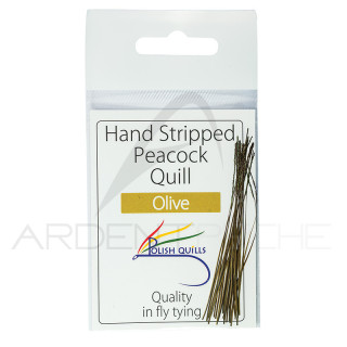 Polish quill