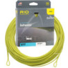 Soie pêche RIO Avid Saltwater - Ardent fly fishing