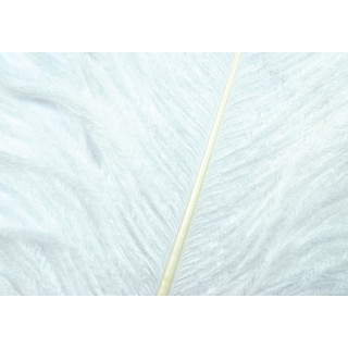 Autruche herls sur tige