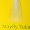 Mayfly tails