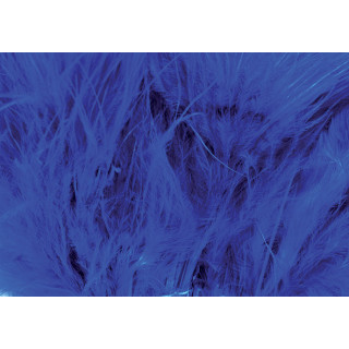 Marabout plumes quill