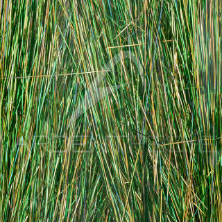 Saltwater blend angel hair SYBAI