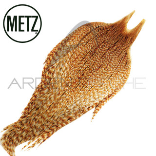 Cous de coq METZ grade 3