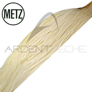 1/2 cous de coq METZ grade 3