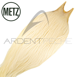 Cous de coq METZ grade 2