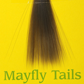 Mayfly tails