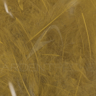 Cul de canard 54 DeanStreet super select