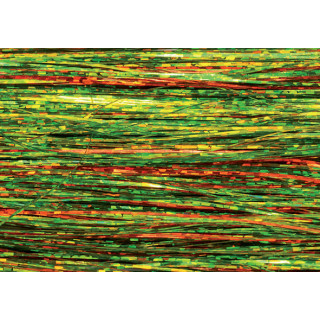 Flashabou holographique