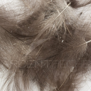 Cul de canard vrac AB FLY 1gr