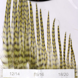 Hackles Génétic DEVAUX