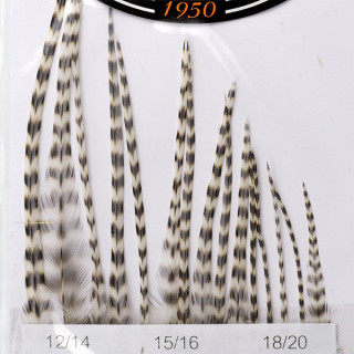 Hackles Génétic DEVAUX