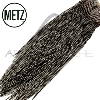 Croupes de coq METZ grade 2