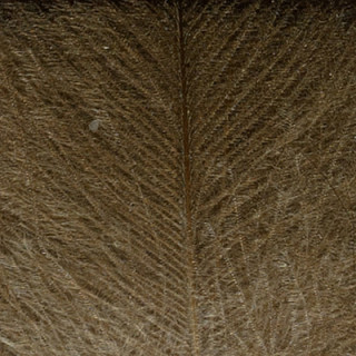 Cul de canard DEVAUX select