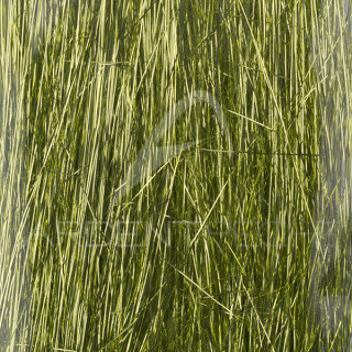 Saltwater Angel Hair SYBAI