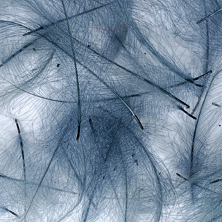 Cul de canard PETITJEAN 1gr