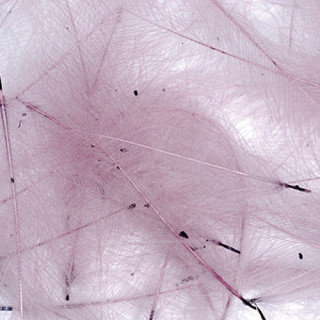 Cul de canard PETITJEAN 1gr