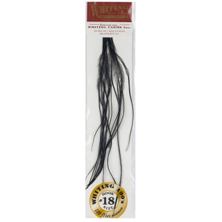 Plumes de Saddle WHITING 100