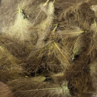 Cul de canard vrac AB FLY 1gr