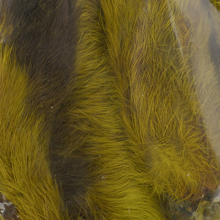 Patte de lapin des neiges