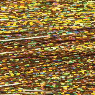 Flashabou predator holographique