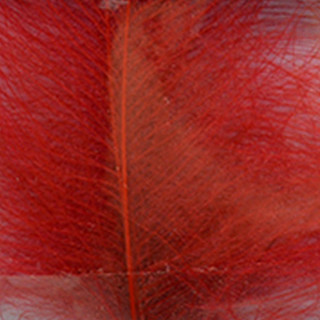 Cul de canard DEVAUX select