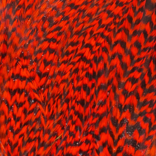 Demi selle de coq grizzly