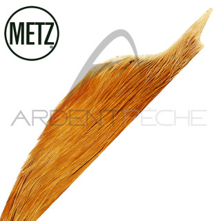 1/2 cous de coq METZ grade 2