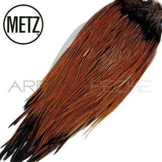 Croupes de coq METZ grade 2