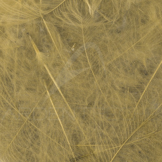 Cul de canard 54 DeanStreet super select