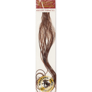 Plumes de Saddle WHITING 100
