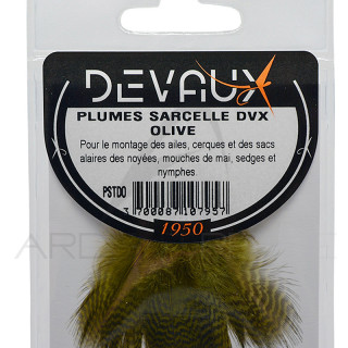Sarcelle DEVAUX
