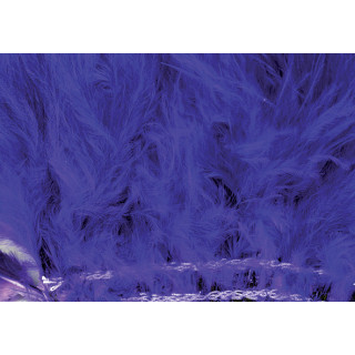 Marabout plumes quill