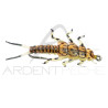 Mouche réaliste Stonefly nymphe Or