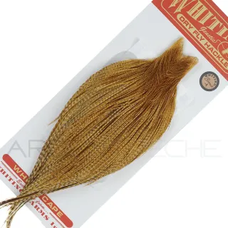 Cous de coq WHITING bronze Barred Dark Ginger